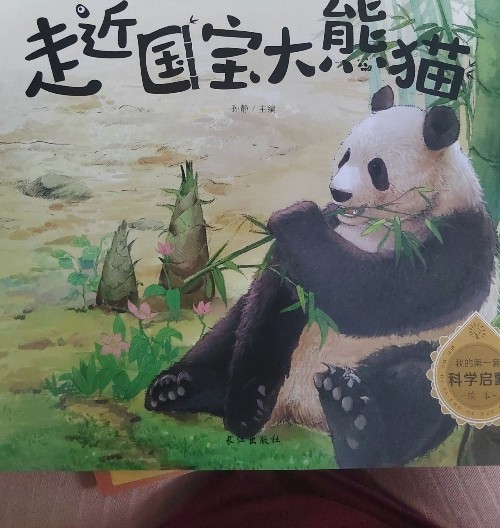 走进国宝大熊猫
