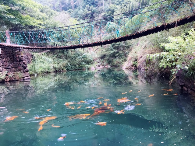 小旅歸來