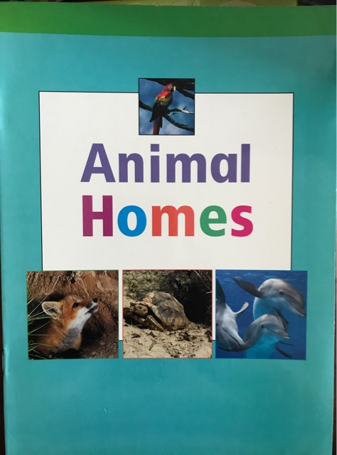 Animal Homes: Animal Homes