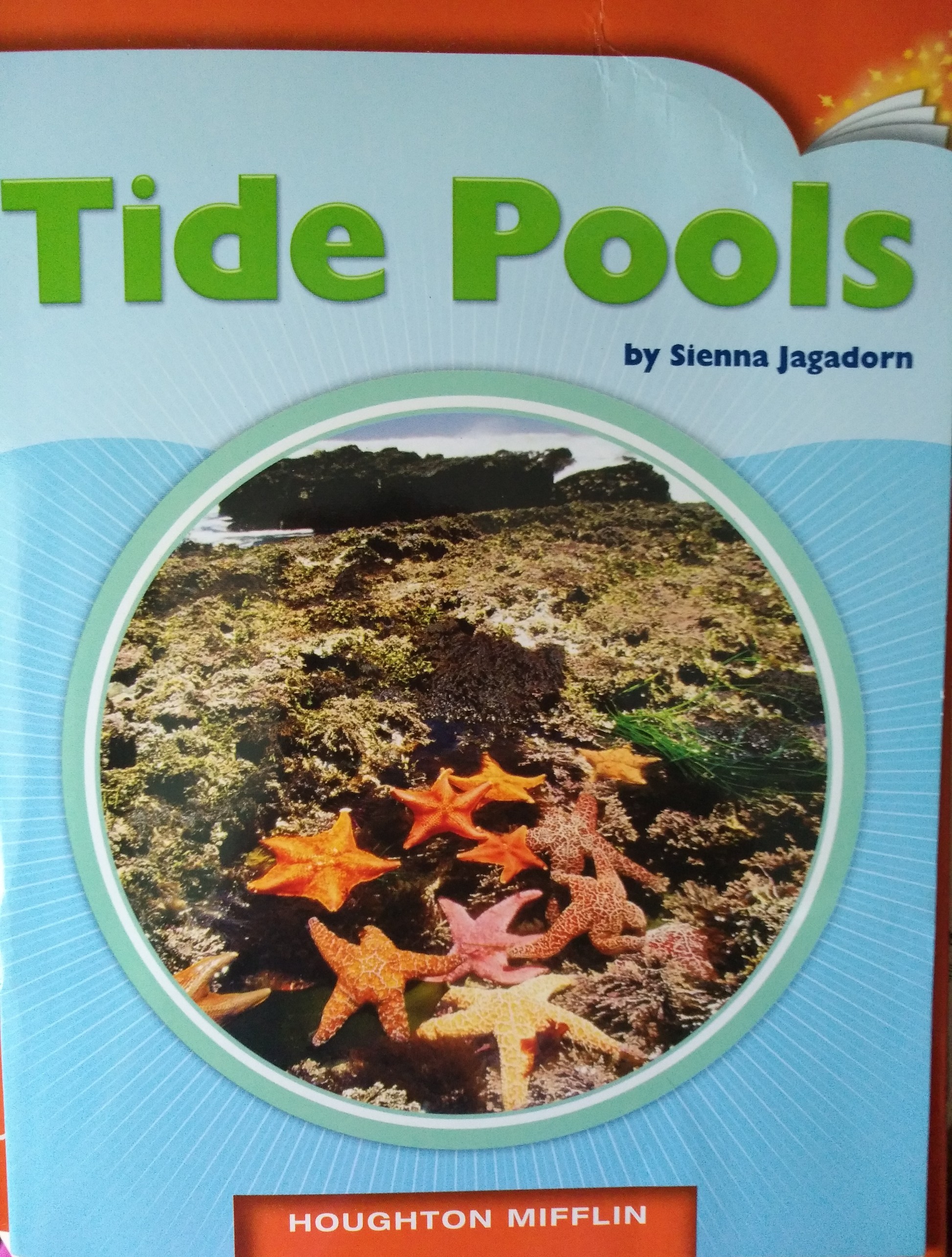 Tide Pools