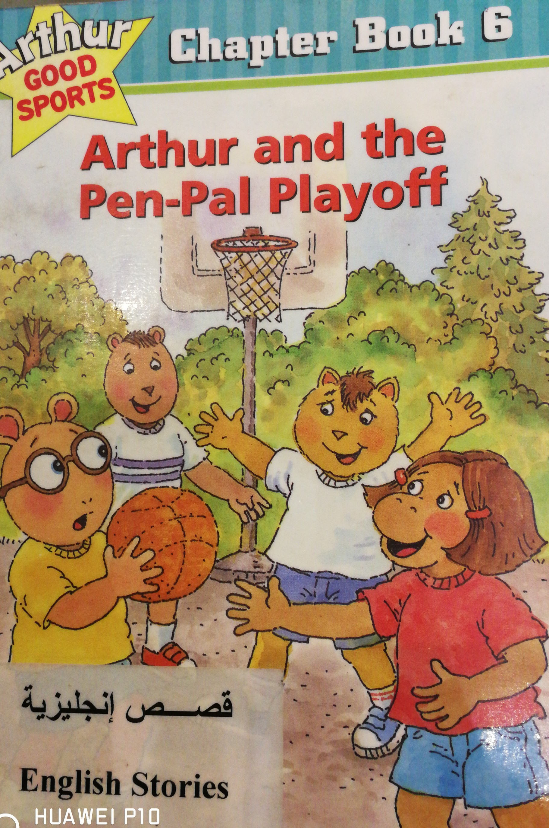 Arthur and the pen_pal playoff