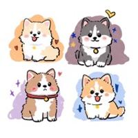 艾美