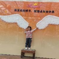 爱读书的桐宝