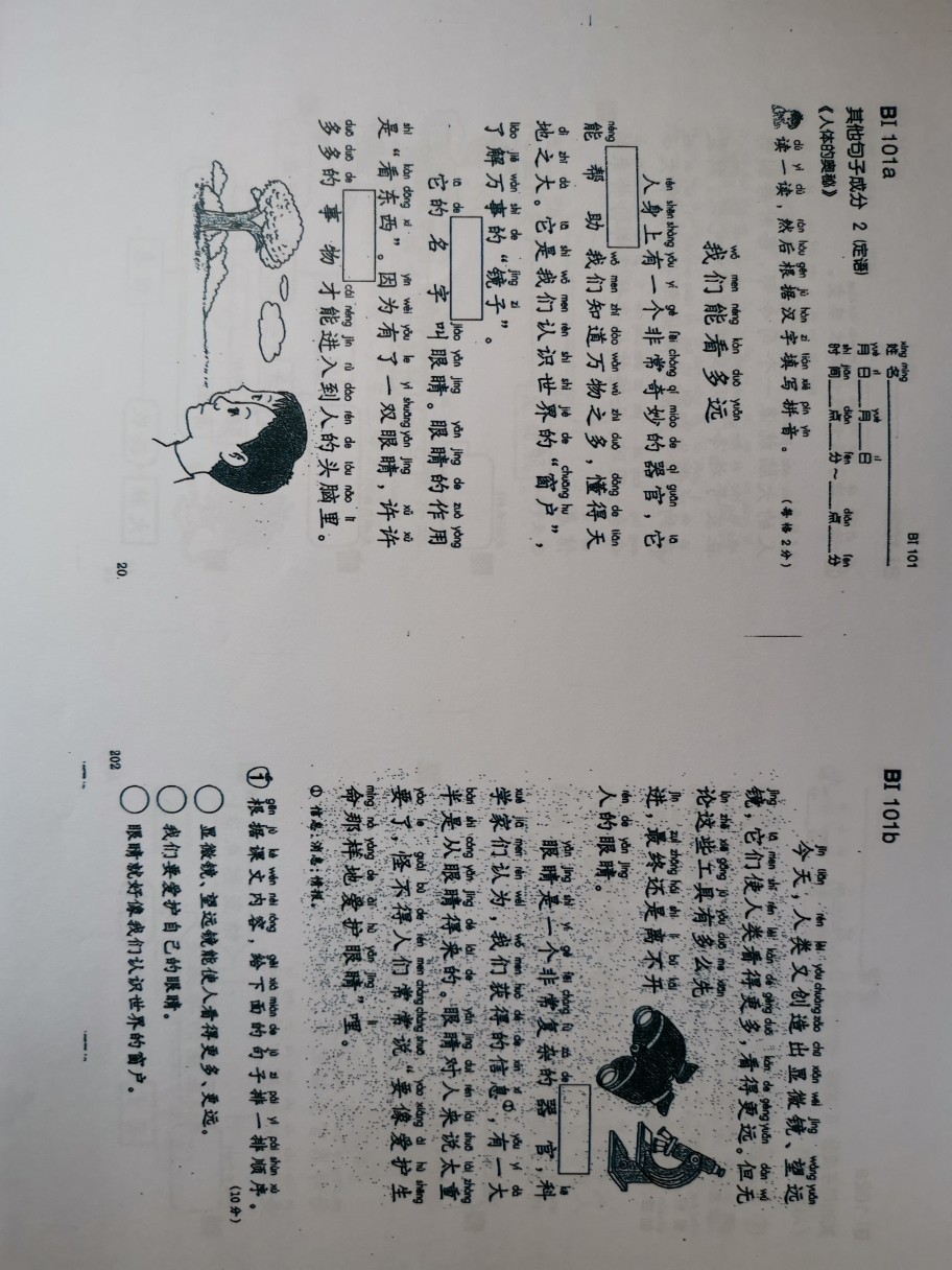 公文式語(yǔ)文B1級(jí)別