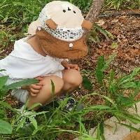 拾贰D阅读日记