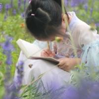 夏清歡