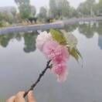 🍓安于时光