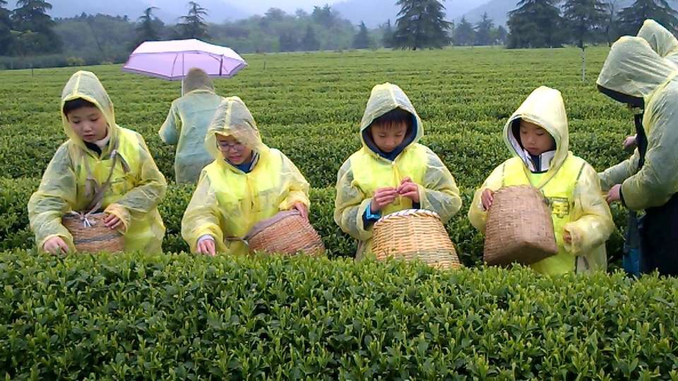 清明小长假让孩子