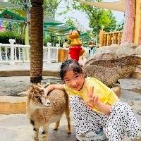 小安于夏