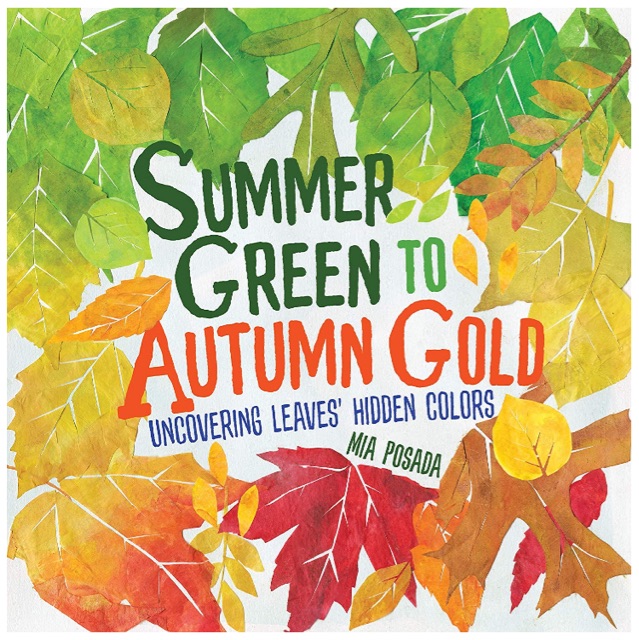 Summer Green to Autumn Gold: Uncovering Leaves' Hidden Colors