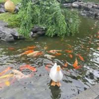 平凡的日子
