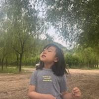 言言阅读历程