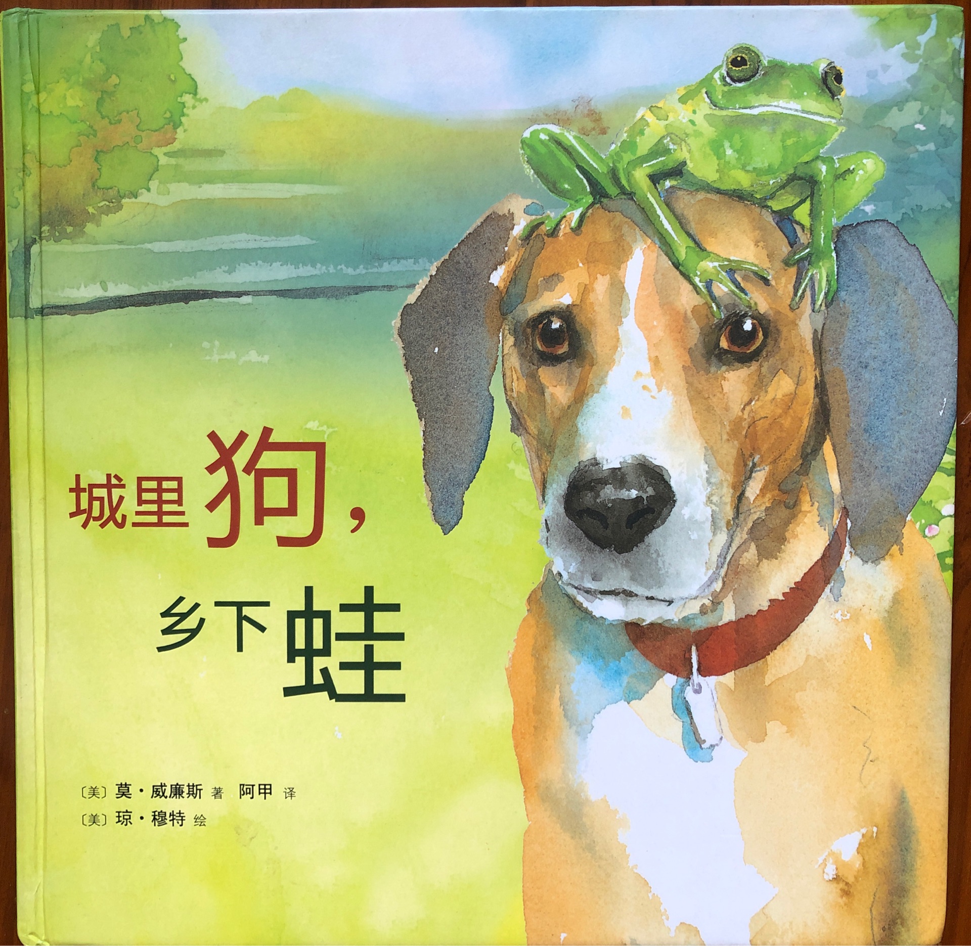 城里狗, 鄉(xiāng)下蛙