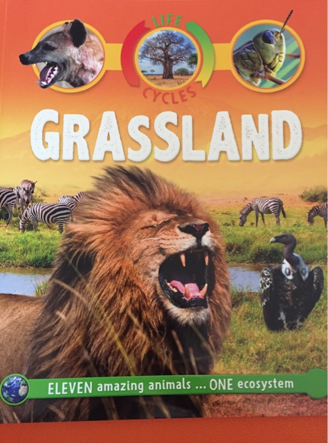 Grassland