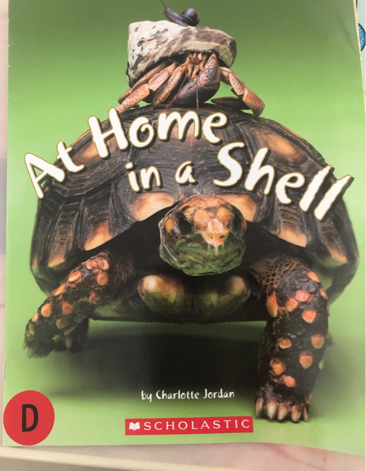 At home in a shell