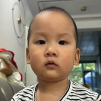爱吃饭的石头