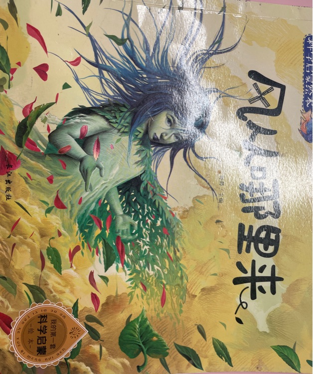 风从哪里来