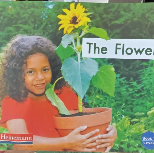 Heinemann Gk-23: The Flower