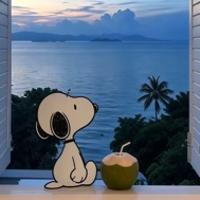 放风的羊