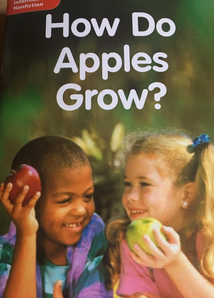 How Do  Apples Grow?