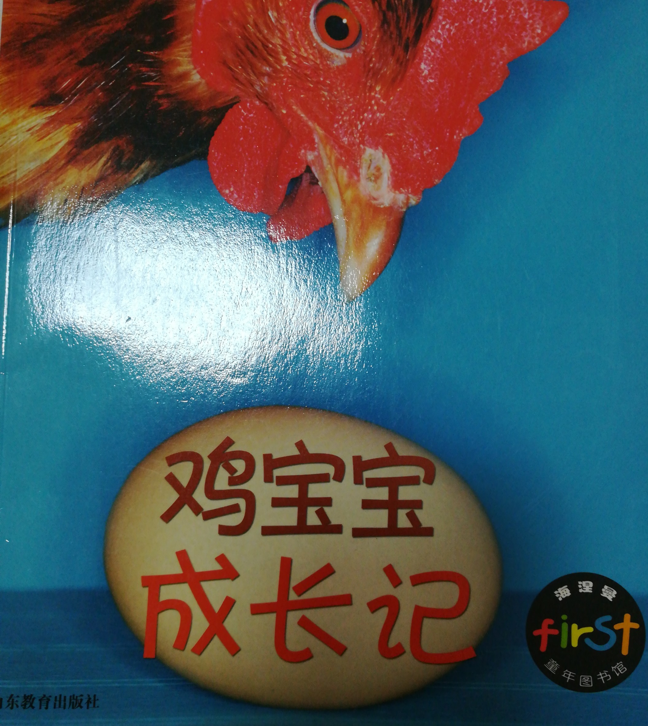 雞寶寶成長(zhǎng)記