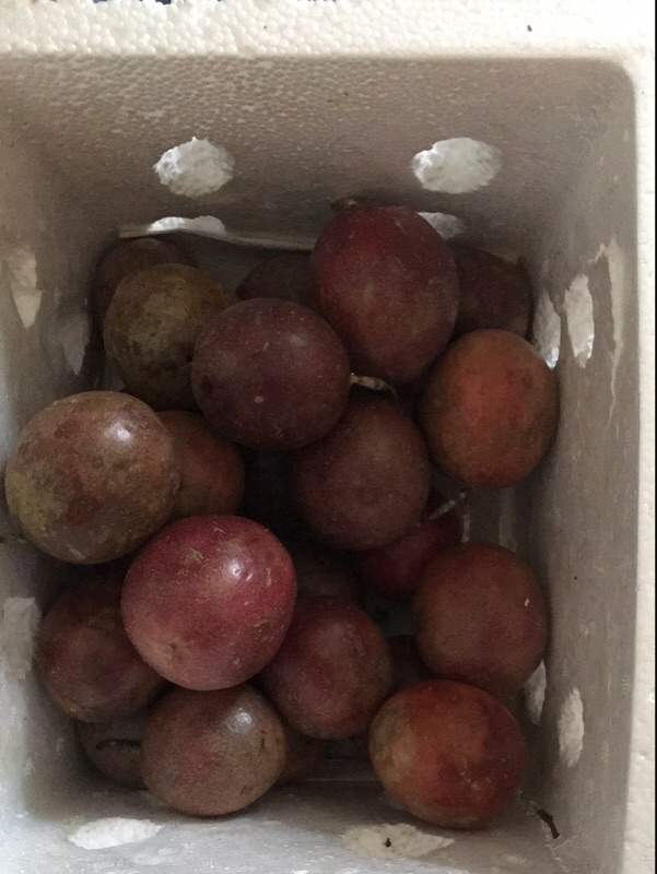 百香果蜜