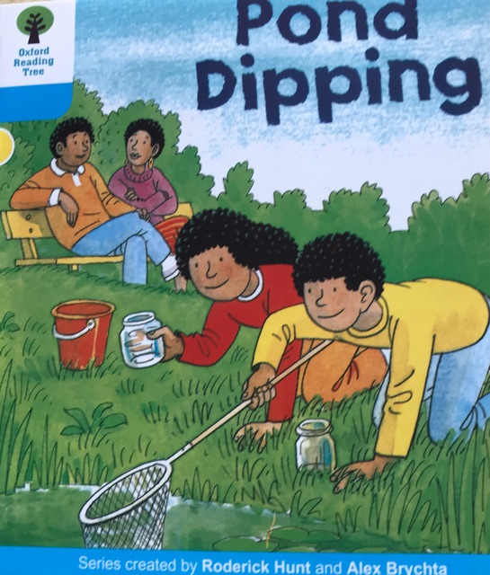 3-3 Pond dipping