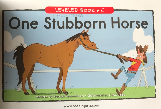 One stubborn horse