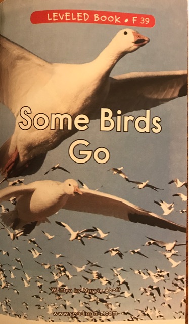 Some birds go