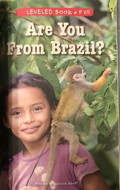 Are you from Brazil?