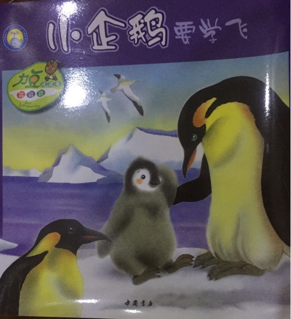 禽鳥天地間: 小企鵝要學飛