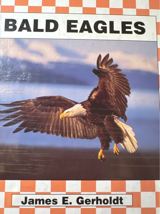 Bald eagles