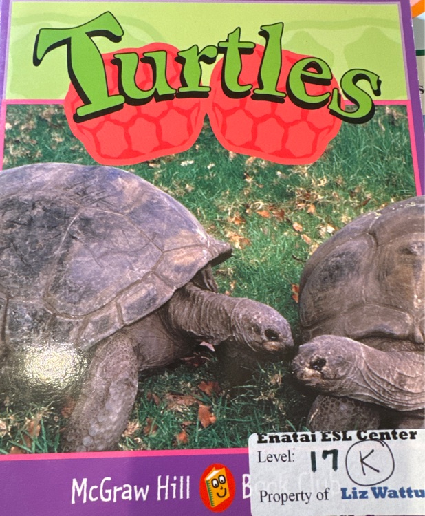 Turtles