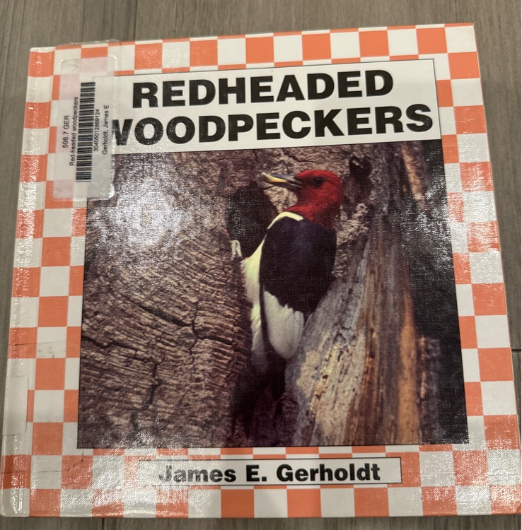 Red headed woodpeckers