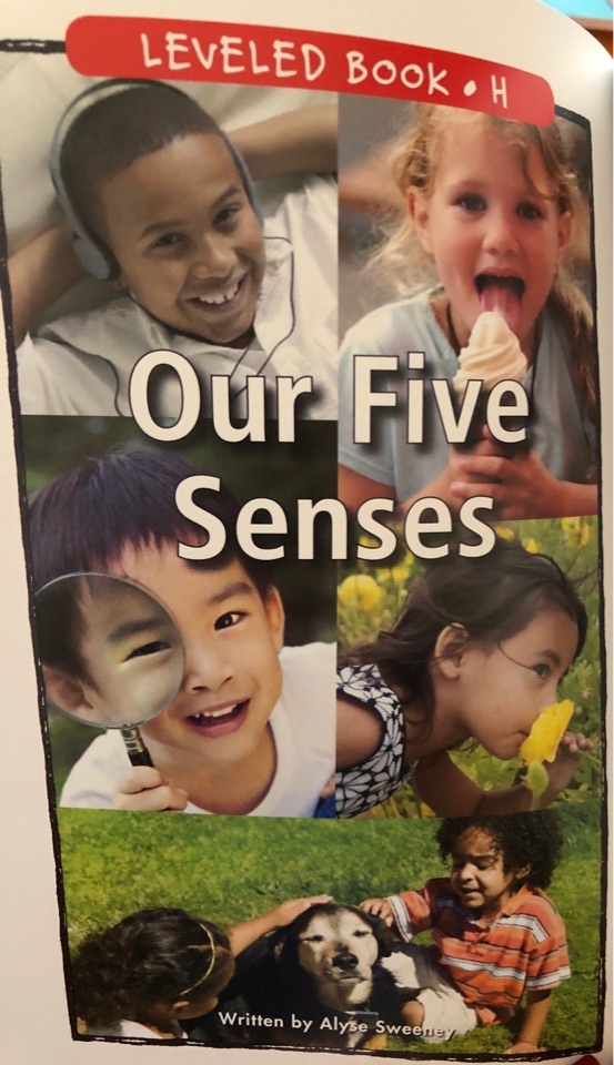 Our five senses