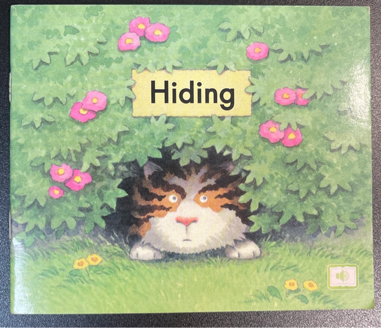 Heinemann Gk-53: Hiding