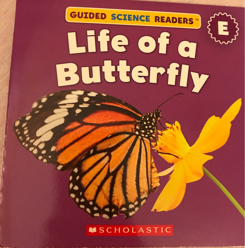 Butterfly and <f