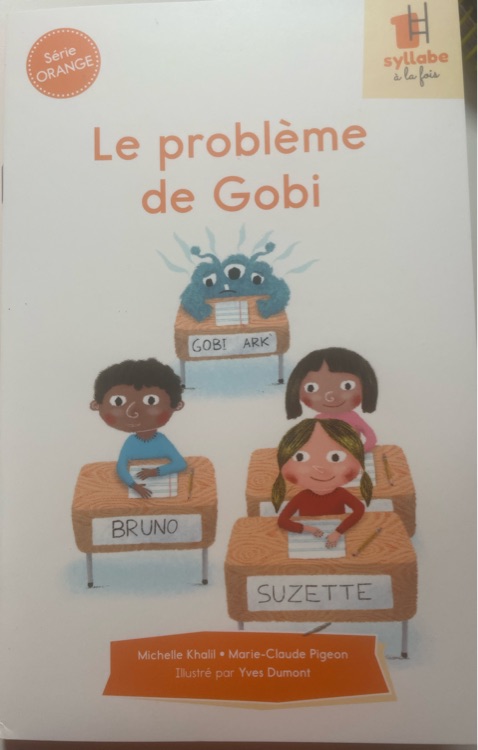 Le problème de Gobi