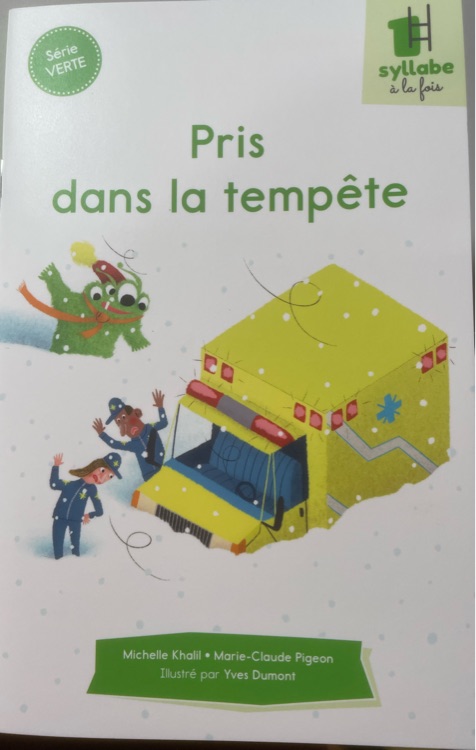 Pris dans la tempête