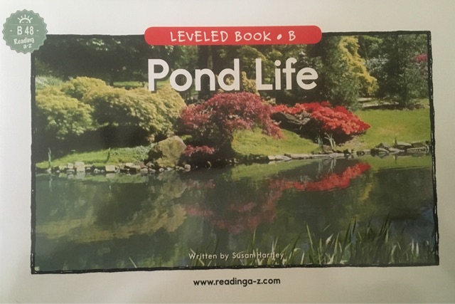 Pond life