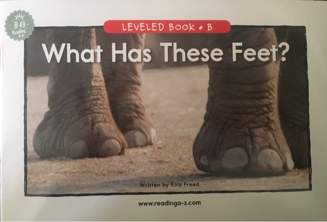 What has these feet?