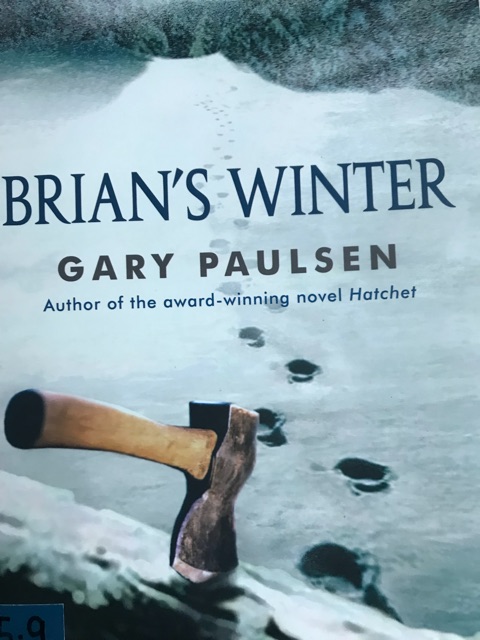 Brian's Winter
