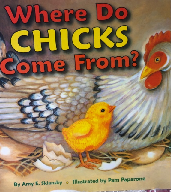 where do chicks come from?