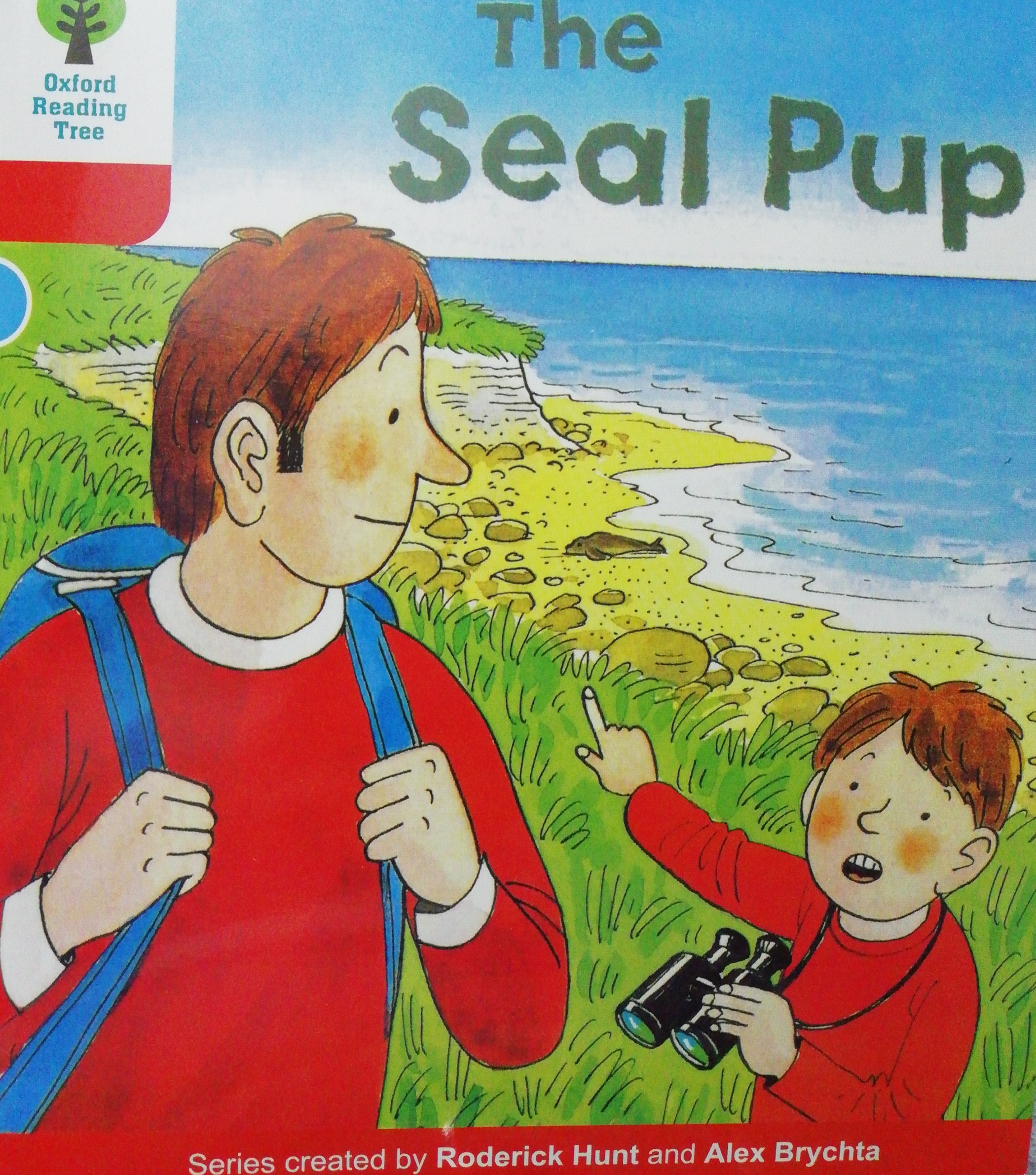 The seal pup