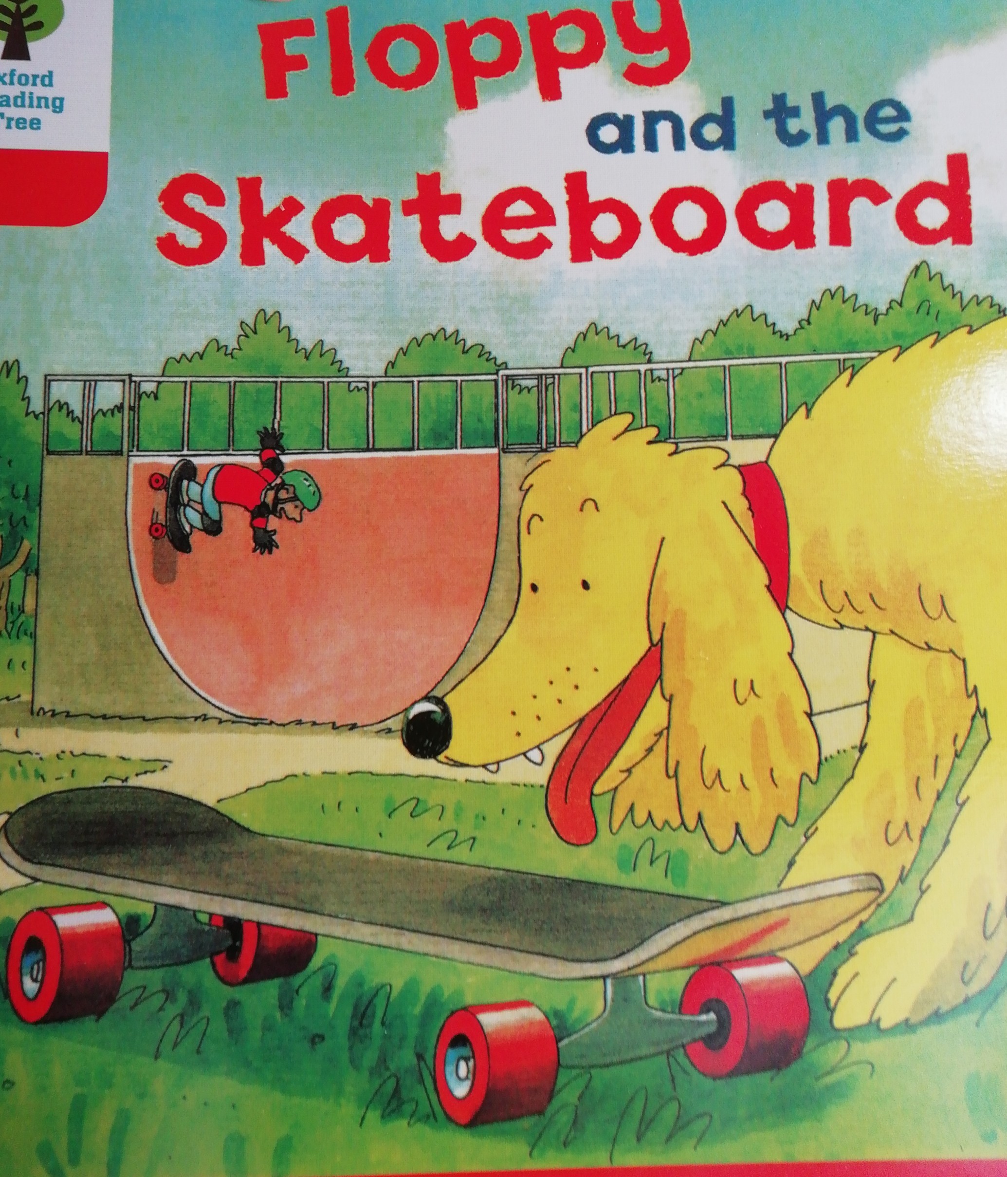 Floppy and the skateboard