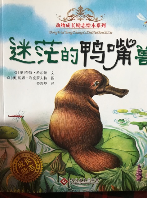 迷茫的鴨嘴獸