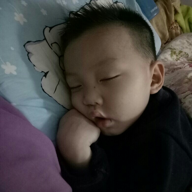 果寶的由來