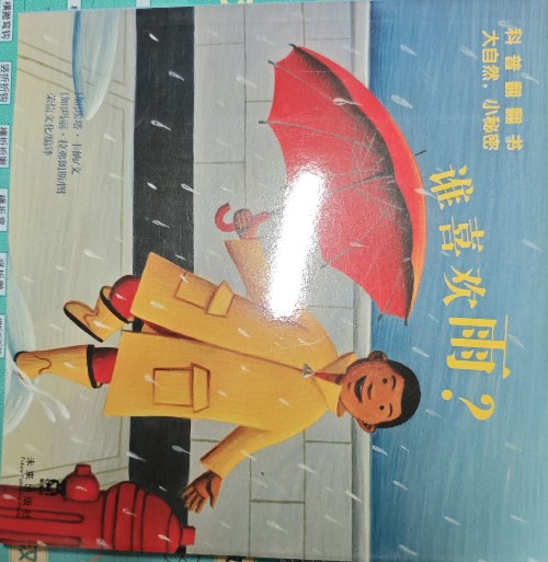 誰喜歡雨