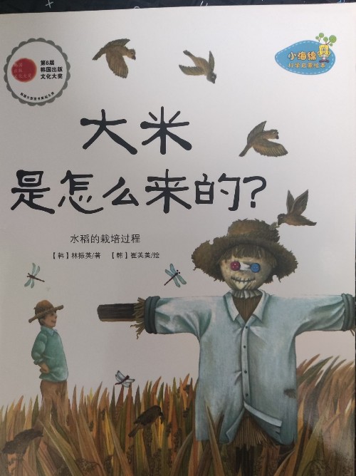 大米是怎么來的