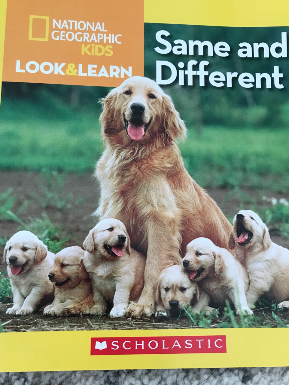 National Geographic kids#look & learn#Same and different